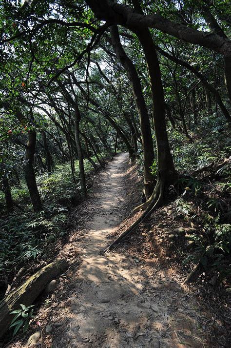 福人山|[桃園楊梅]．福人登山步道（Tony的自然人文旅記第0996篇）